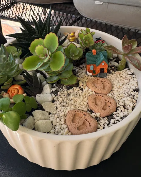 A wide fluted cream bowl planted with succulents, white pebbles, a tiny orange brick cottage and three clay stepping stones printed with footprints.